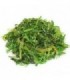 GOMA WAKAME (ALGAS)