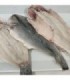 DORADA ABIERTA