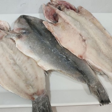DORADA ABIERTA