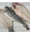 DORADA ABIERTA