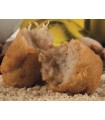 CROQUETON DE COCIDO