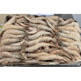 LANGOSTINO NACIONAL 50/60