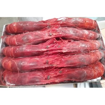 CARABINERO 14 UNIDADES KILO